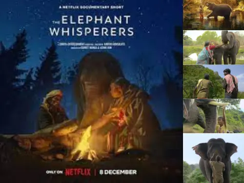 THE ELEPHANT WHISPERERS (2023) FULL MOVIE HINDI DUBBED 720P DOWNLOAD